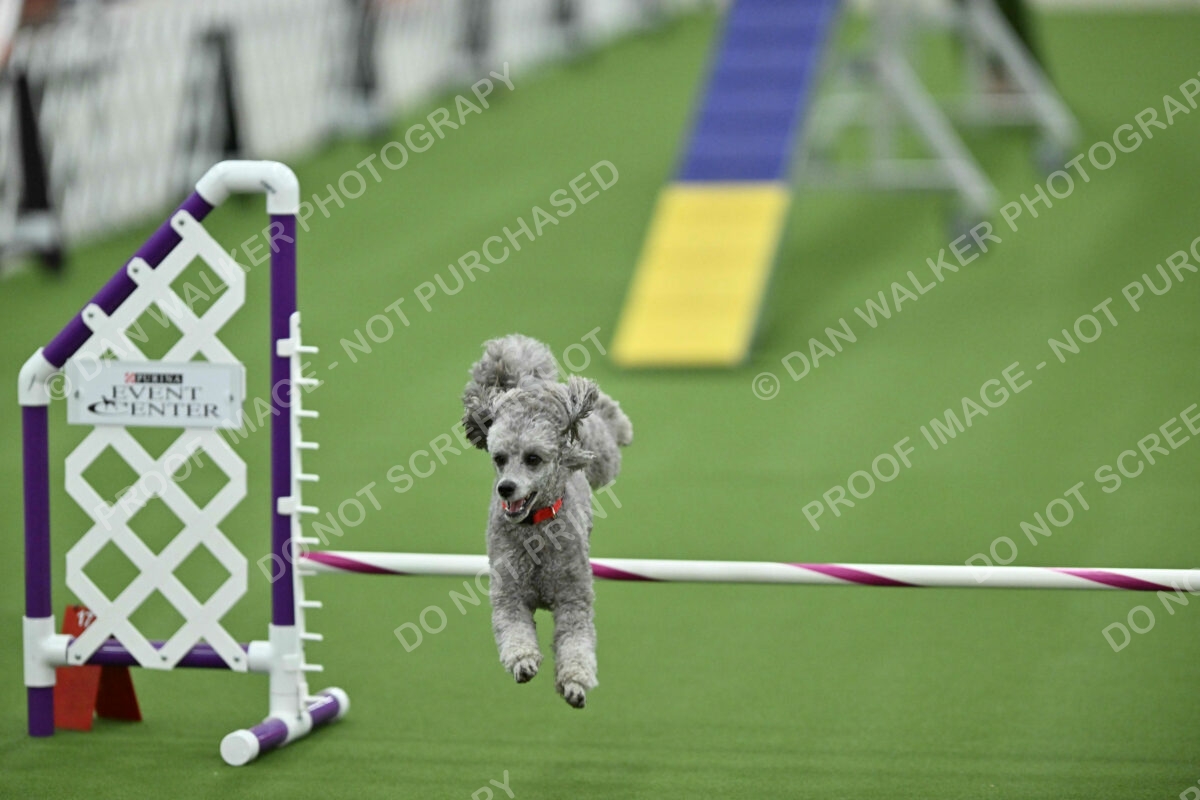 MAS-EX-STD-12-Inch_5951