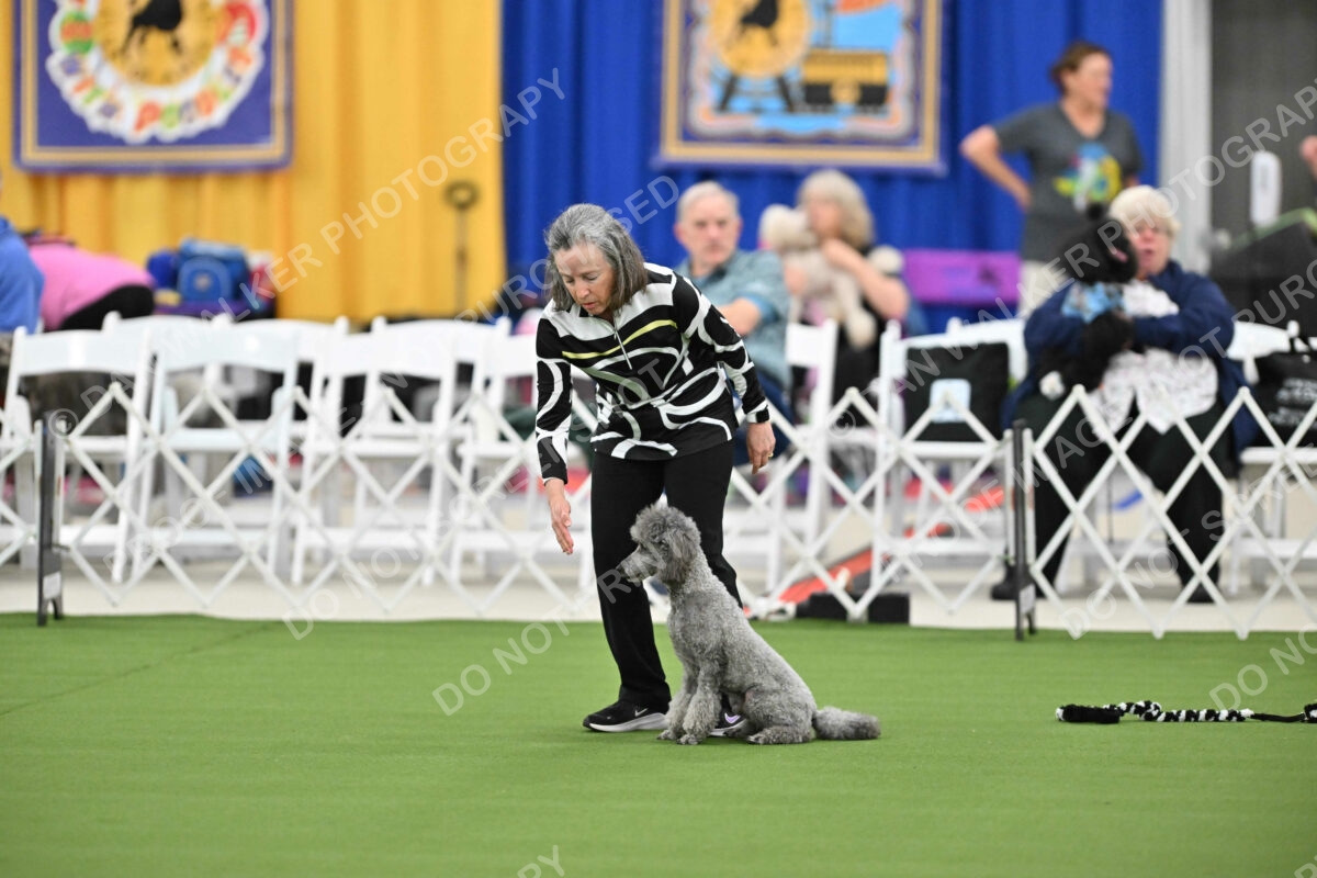 MAS-EX-STD-12-Inch_5952