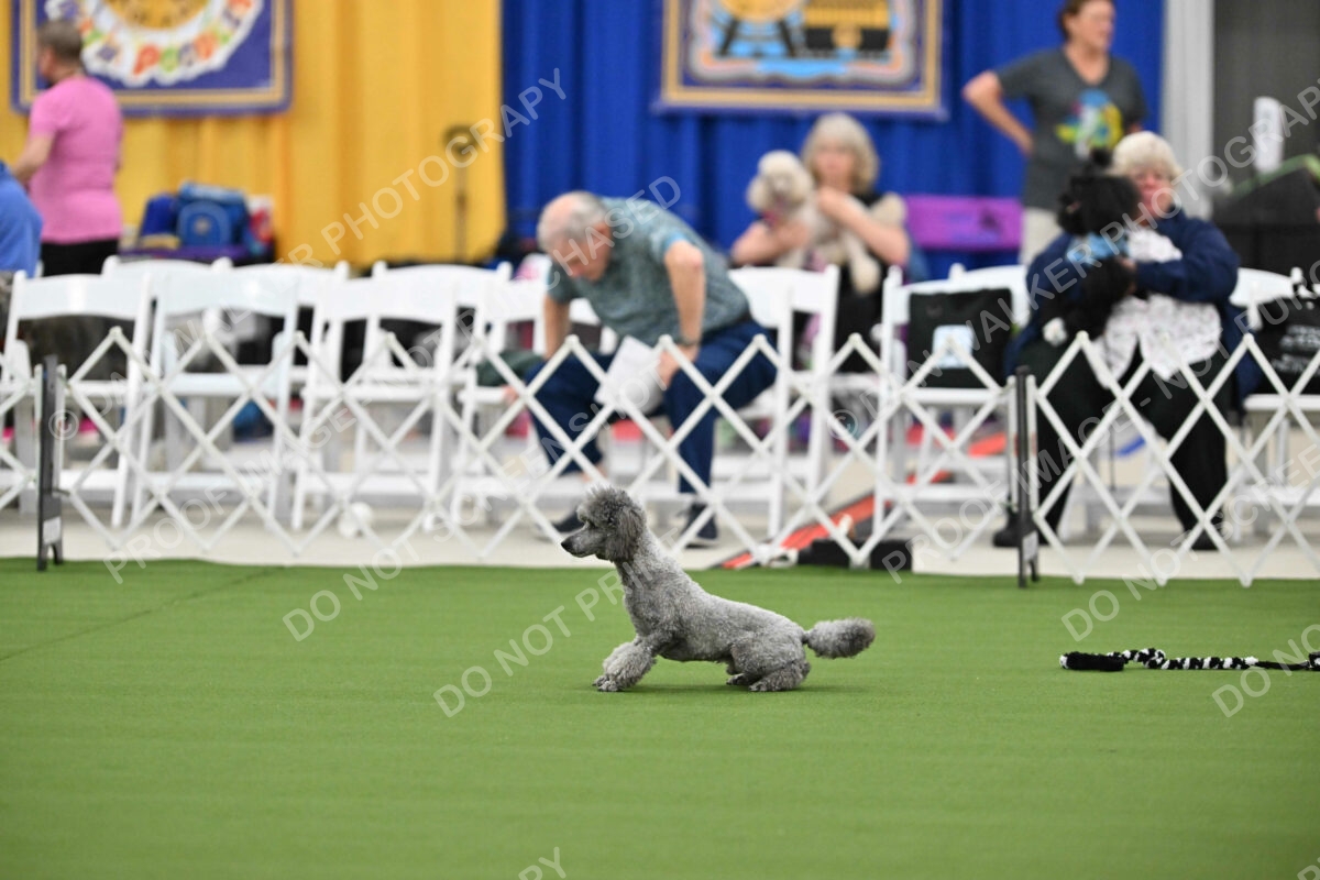 MAS-EX-STD-12-Inch_5955