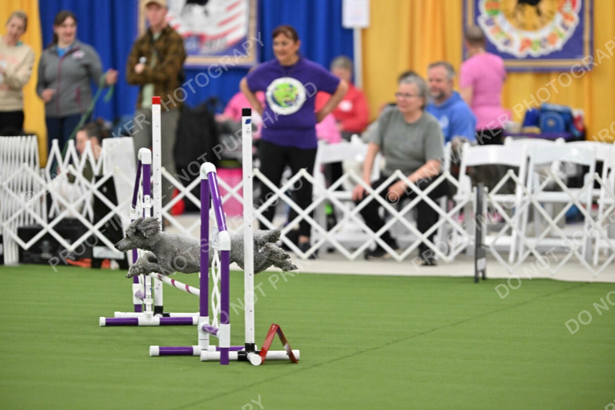 MAS-EX-STD-12-Inch_5957