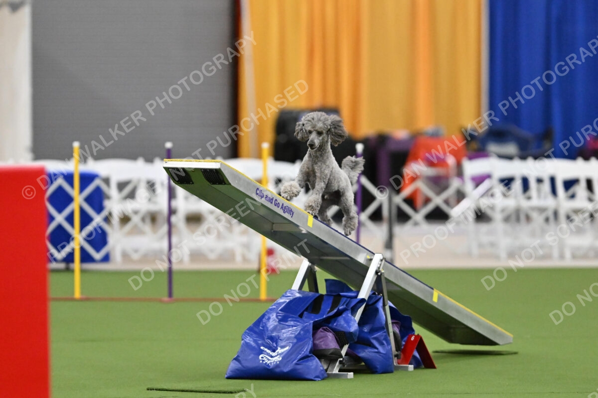 MAS-EX-STD-12-Inch_5968