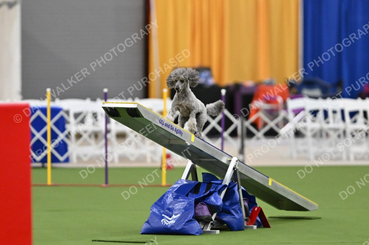 MAS-EX-STD-12-Inch_5970