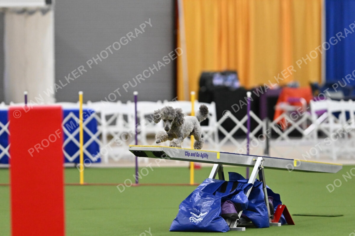 MAS-EX-STD-12-Inch_5971