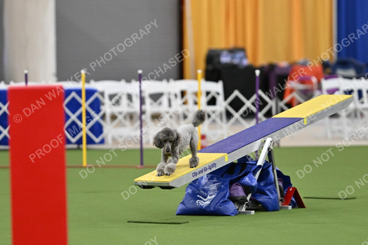 MAS-EX-STD-12-Inch_5973