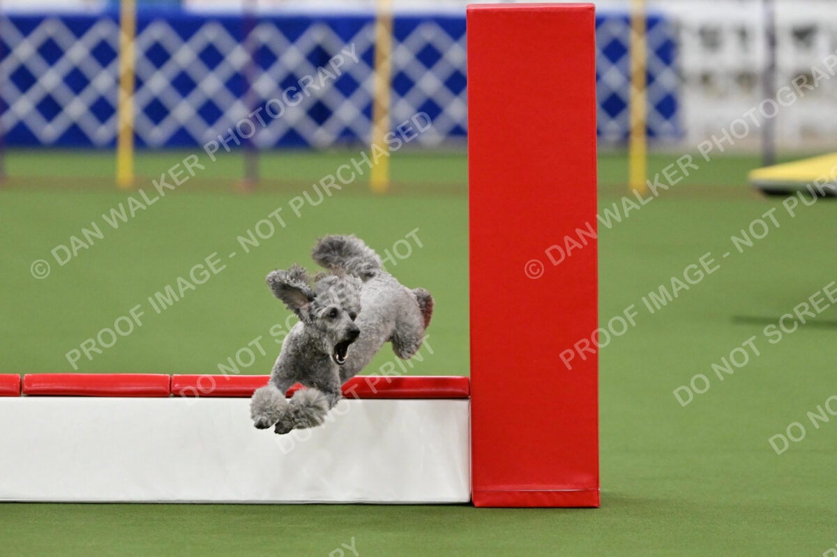 MAS-EX-STD-12-Inch_5978