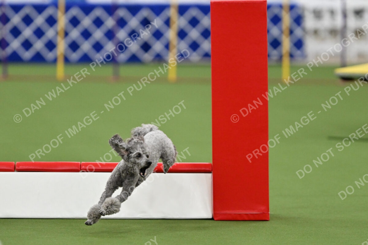 MAS-EX-STD-12-Inch_5979