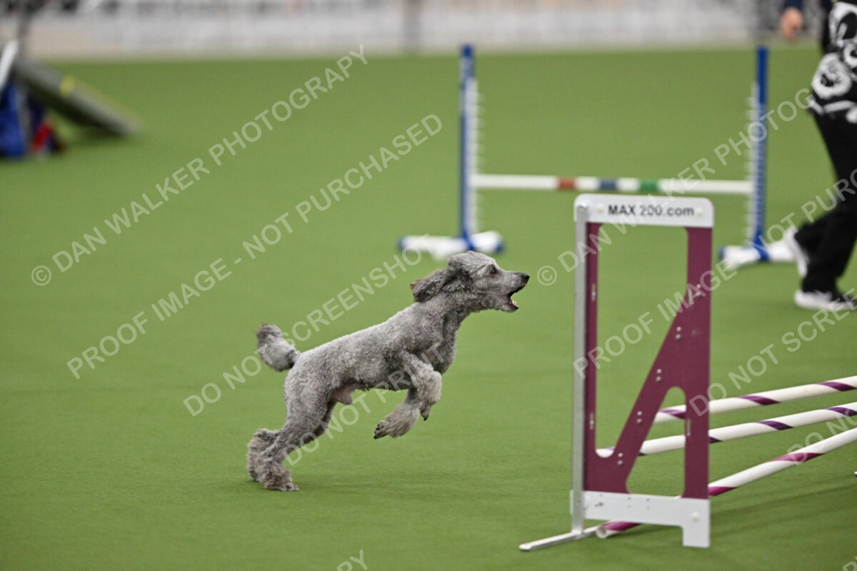 MAS-EX-STD-12-Inch_5981