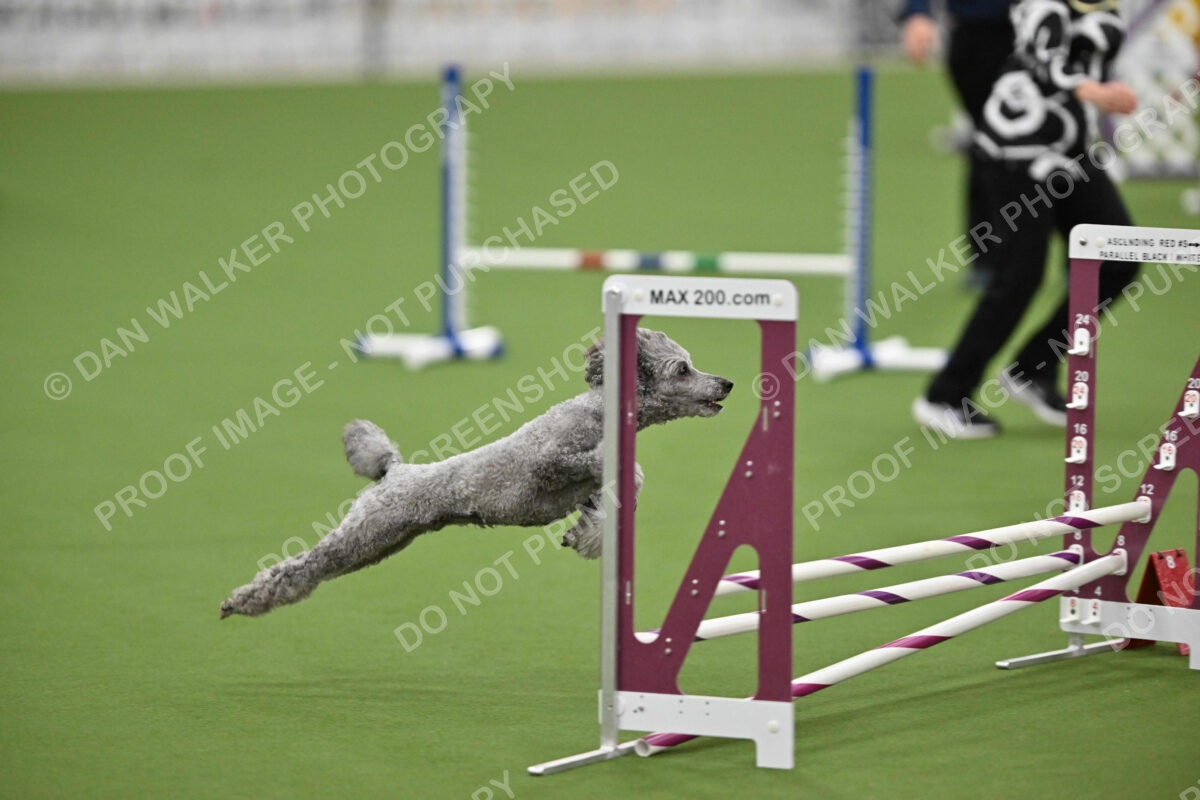 MAS-EX-STD-12-Inch_5982