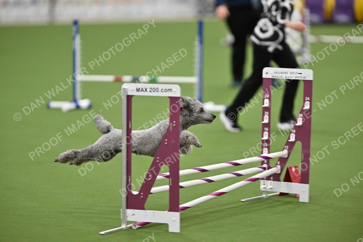 MAS-EX-STD-12-Inch_5983