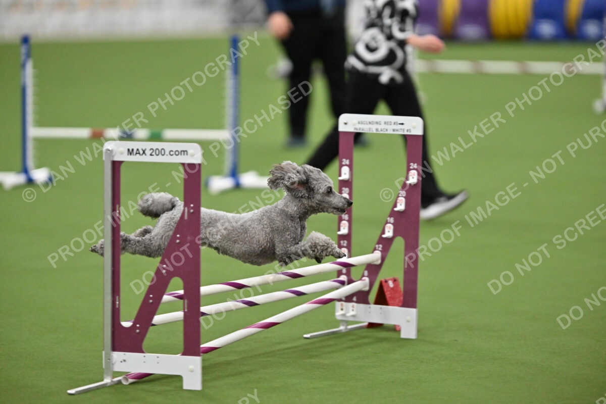 MAS-EX-STD-12-Inch_5984