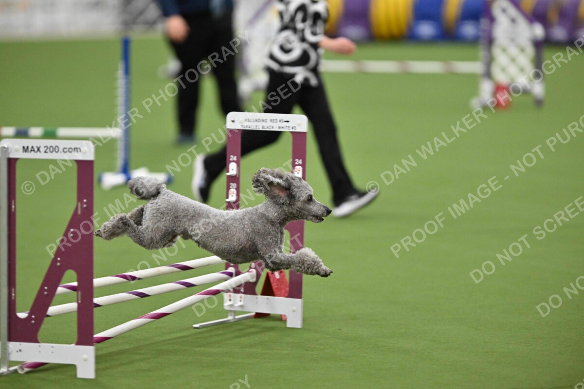 MAS-EX-STD-12-Inch_5985