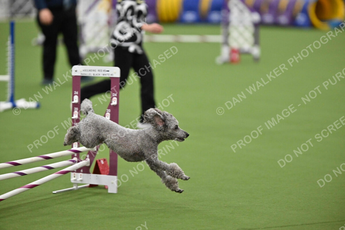 MAS-EX-STD-12-Inch_5986