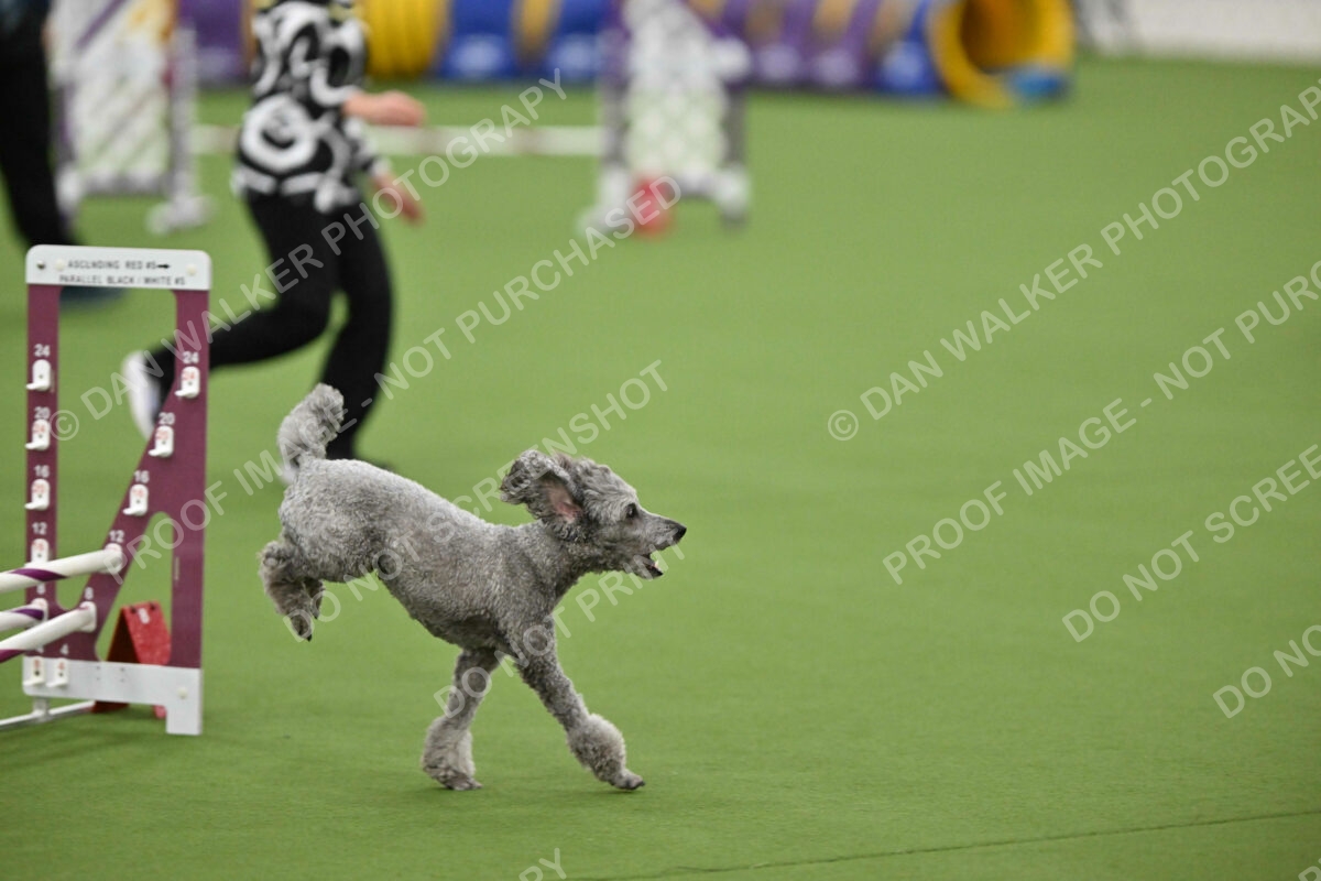 MAS-EX-STD-12-Inch_5987