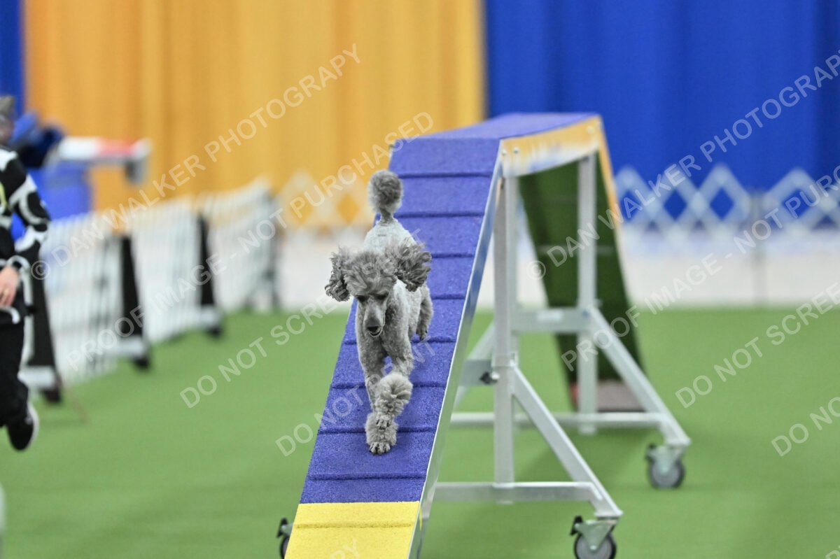 MAS-EX-STD-12-Inch_5992