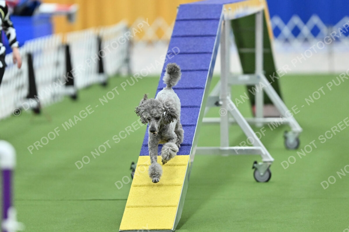 MAS-EX-STD-12-Inch_5995