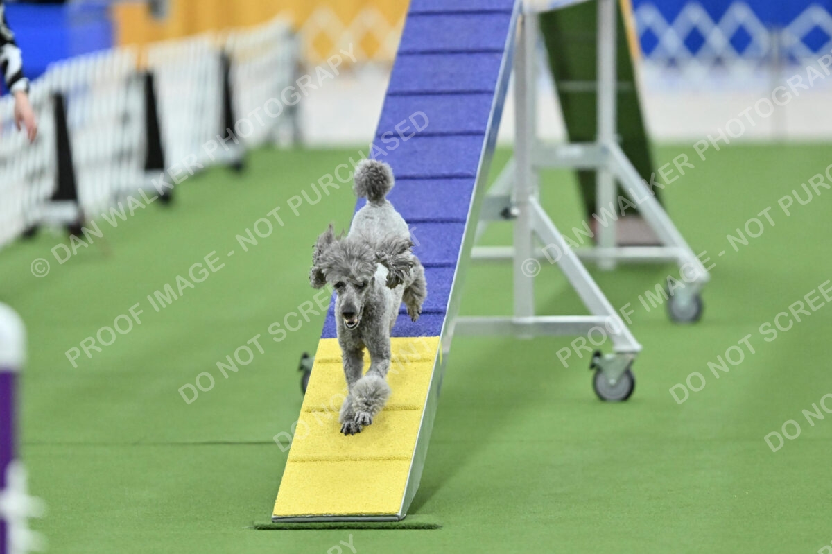 MAS-EX-STD-12-Inch_5996