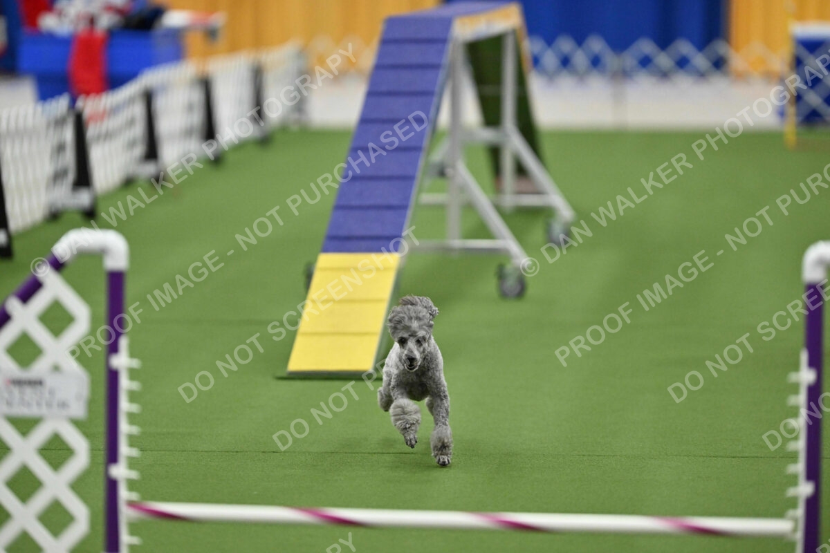 MAS-EX-STD-12-Inch_6001