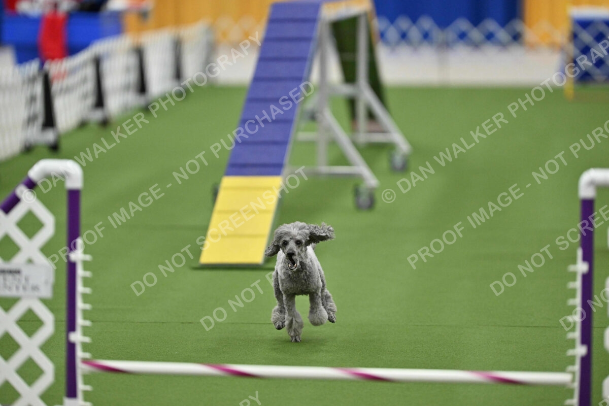 MAS-EX-STD-12-Inch_6003