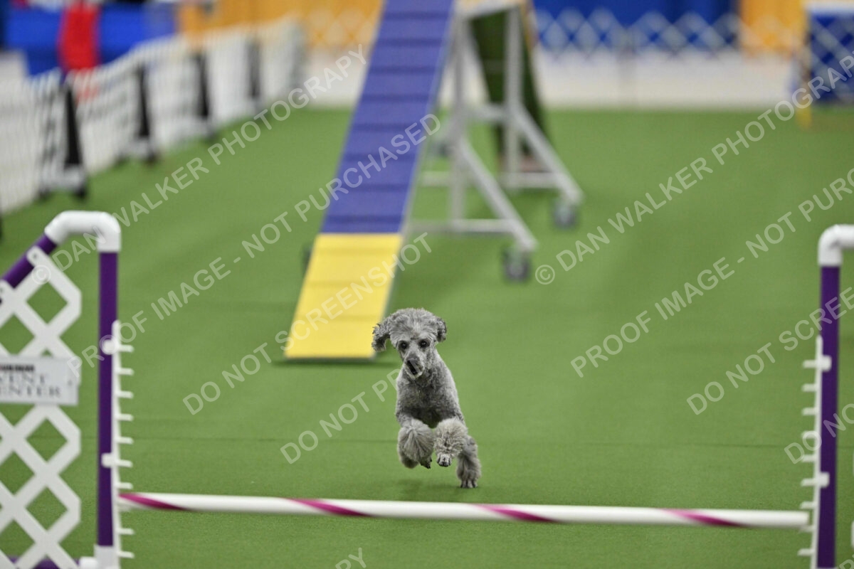 MAS-EX-STD-12-Inch_6004