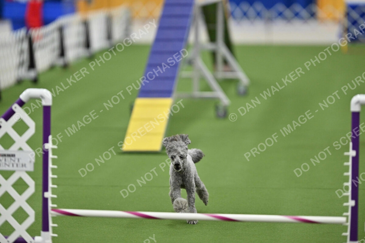 MAS-EX-STD-12-Inch_6005