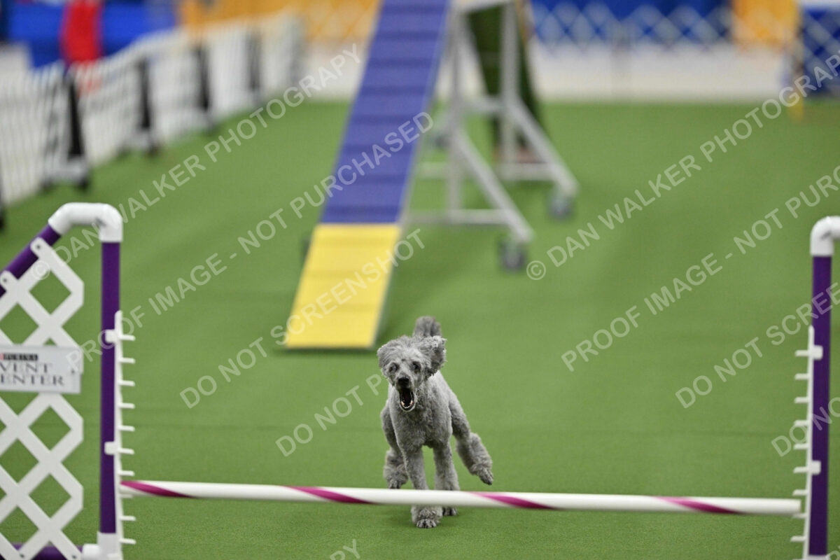 MAS-EX-STD-12-Inch_6006