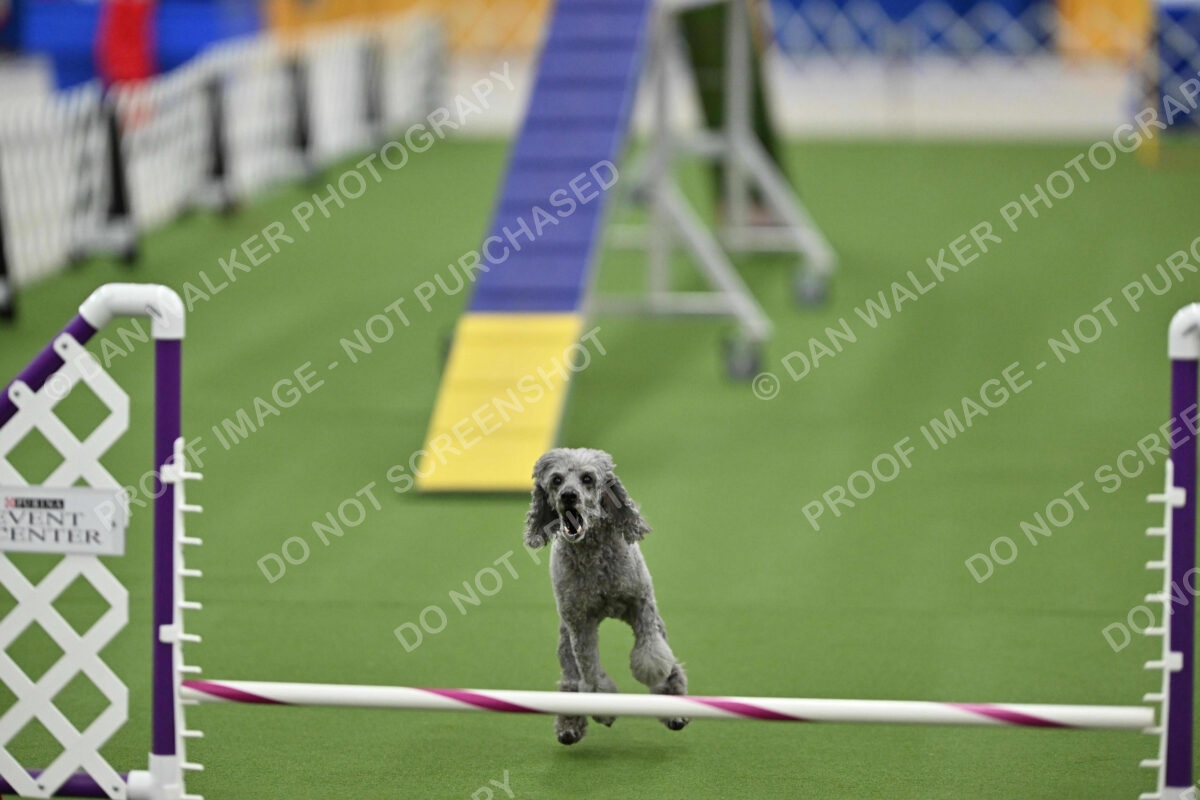 MAS-EX-STD-12-Inch_6007