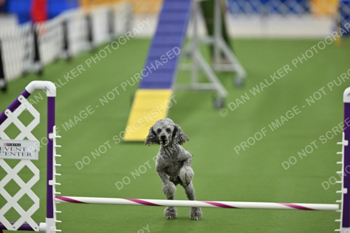 MAS-EX-STD-12-Inch_6008