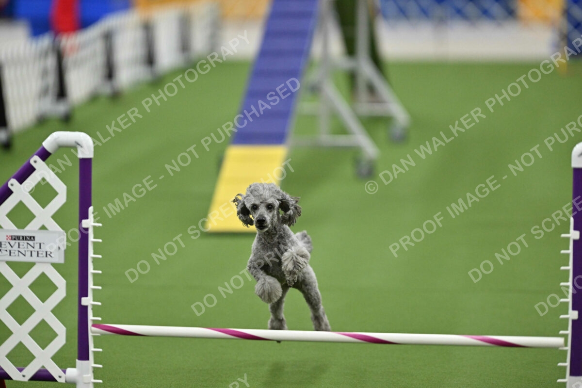 MAS-EX-STD-12-Inch_6009