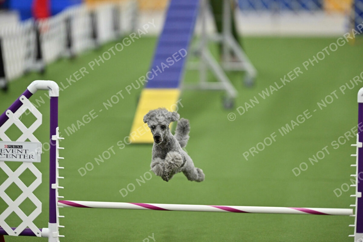 MAS-EX-STD-12-Inch_6010