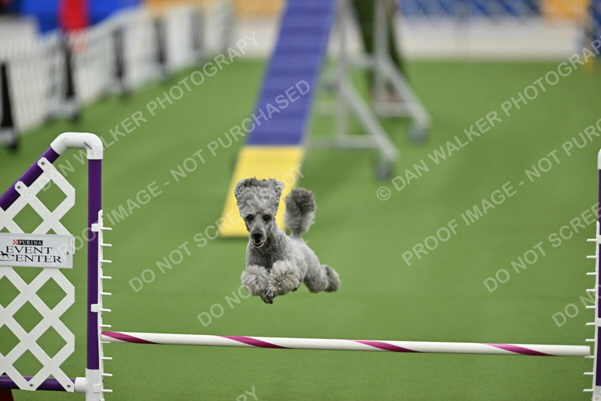 MAS-EX-STD-12-Inch_6011