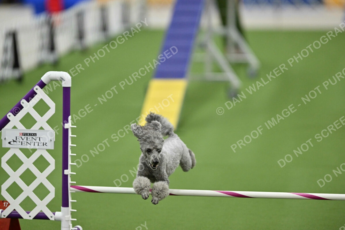 MAS-EX-STD-12-Inch_6013