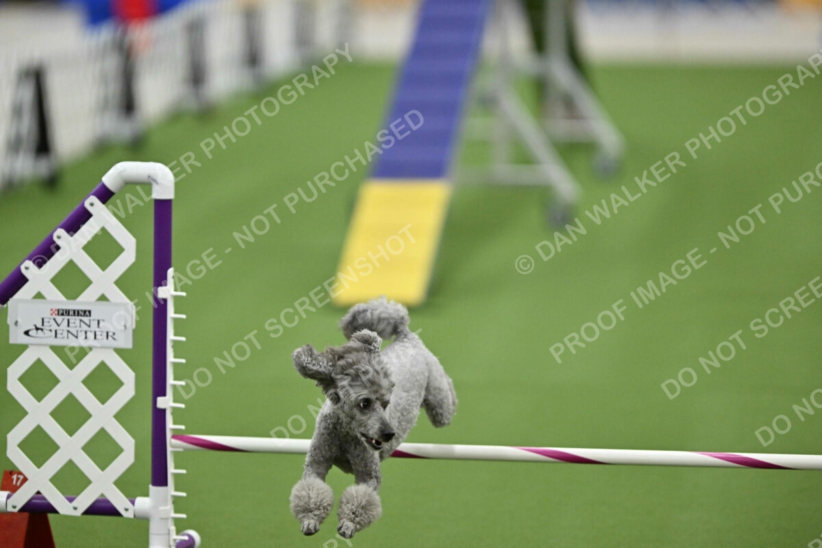 MAS-EX-STD-12-Inch_6014