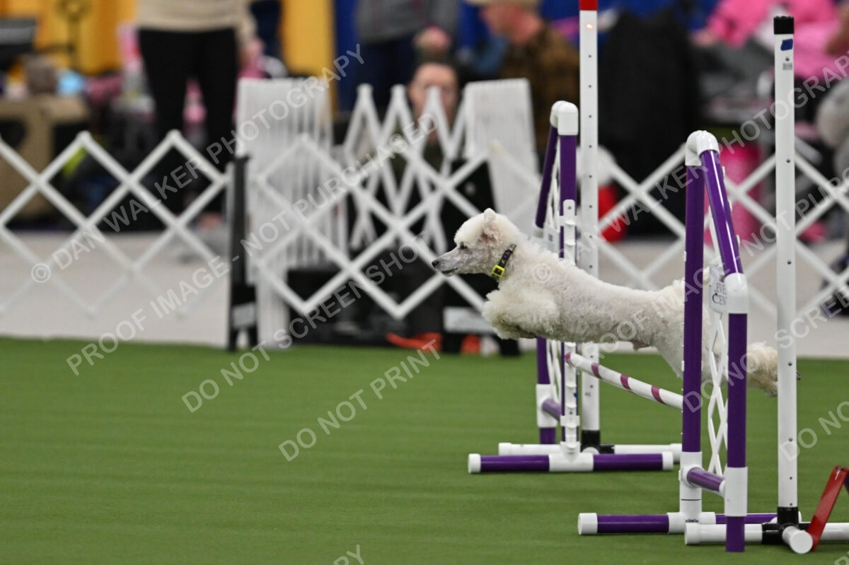 MAS-EX-STD-12-Inch_6019