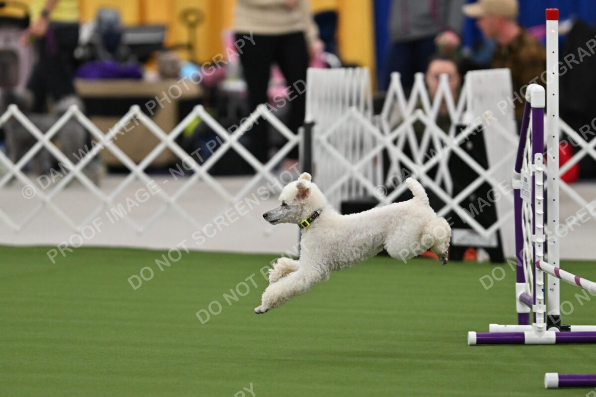 MAS-EX-STD-12-Inch_6020