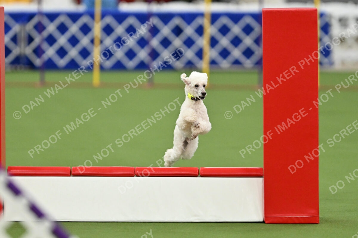 MAS-EX-STD-12-Inch_6026