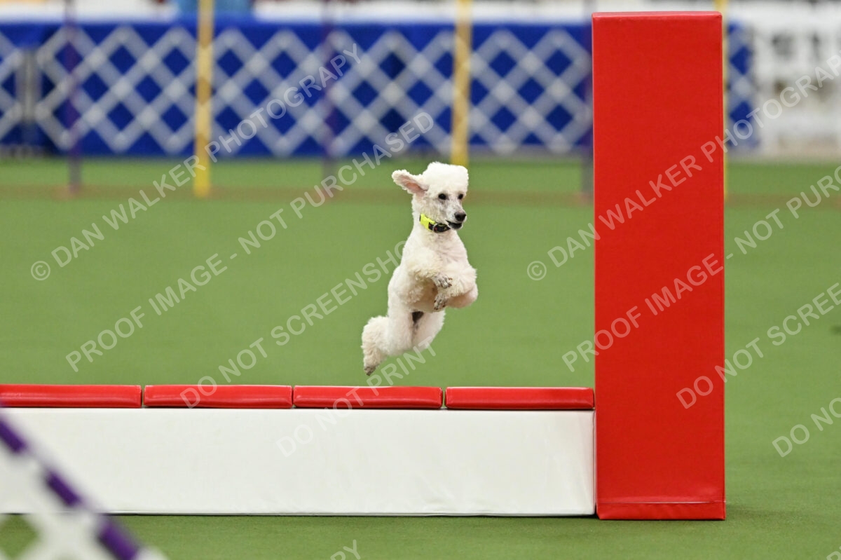 MAS-EX-STD-12-Inch_6027