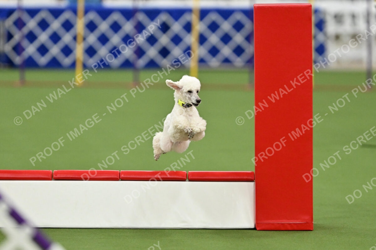 MAS-EX-STD-12-Inch_6028