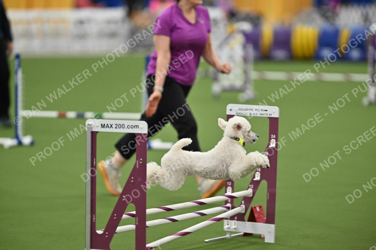 MAS-EX-STD-12-Inch_6030