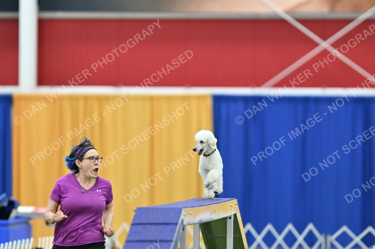 MAS-EX-STD-12-Inch_6033