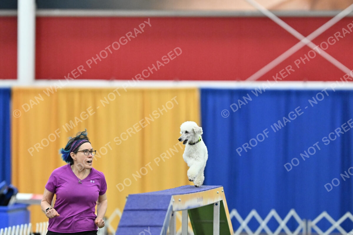 MAS-EX-STD-12-Inch_6034