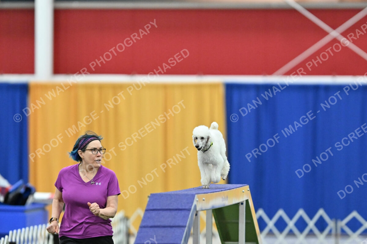 MAS-EX-STD-12-Inch_6036