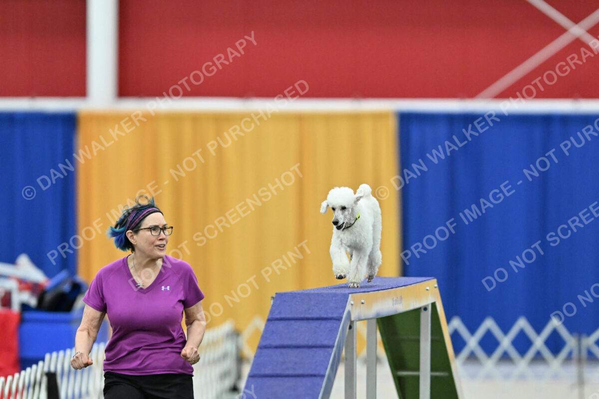 MAS-EX-STD-12-Inch_6038