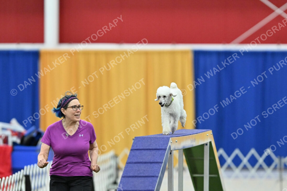 MAS-EX-STD-12-Inch_6039