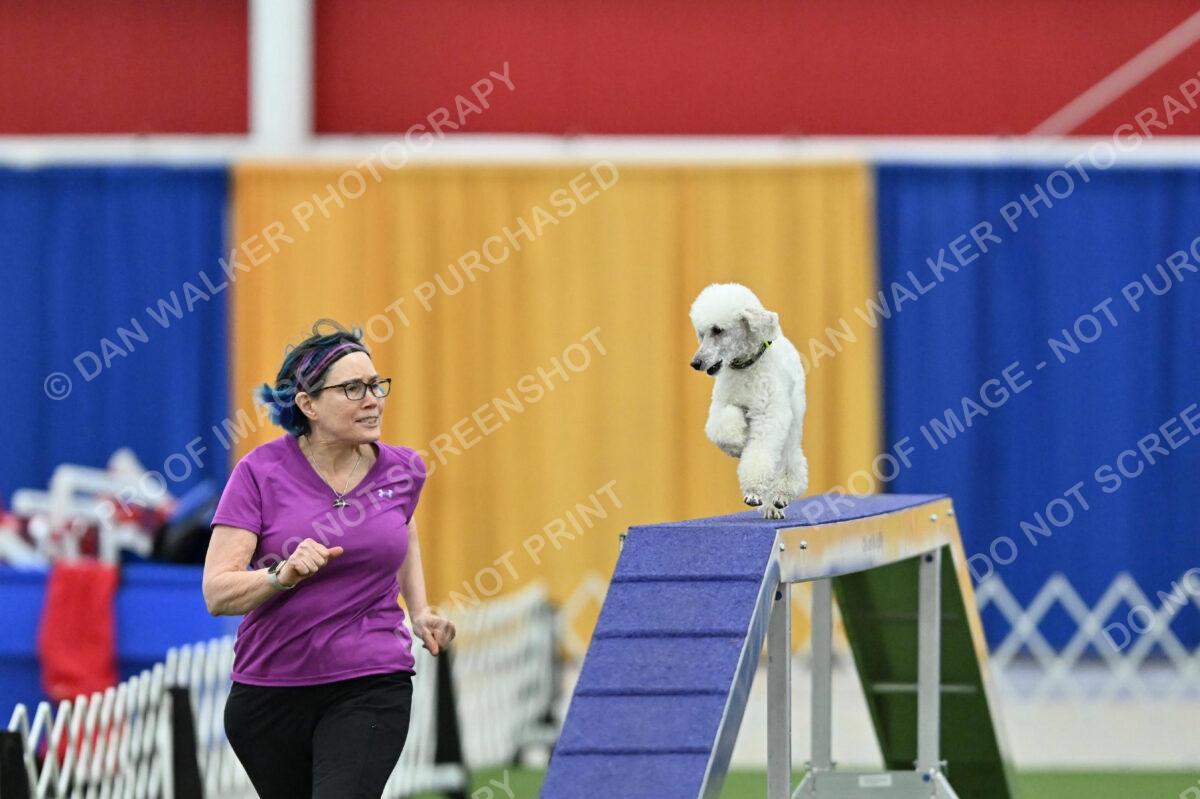 MAS-EX-STD-12-Inch_6040