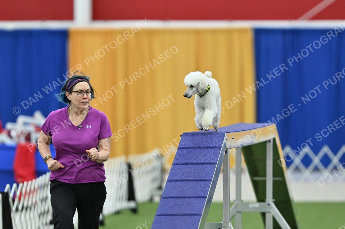 MAS-EX-STD-12-Inch_6043