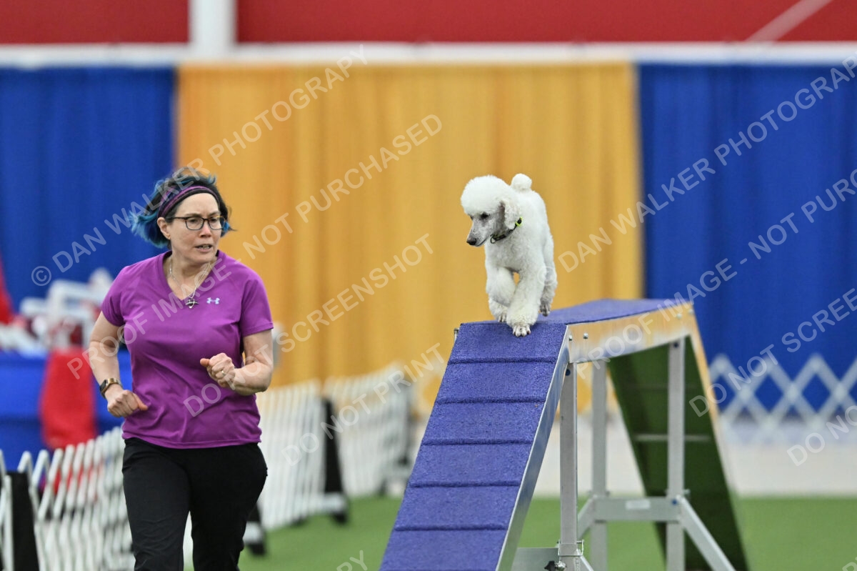 MAS-EX-STD-12-Inch_6044