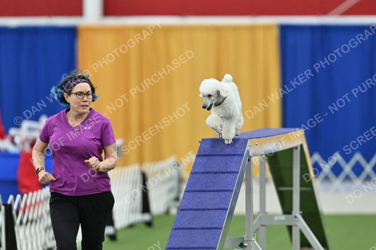 MAS-EX-STD-12-Inch_6045