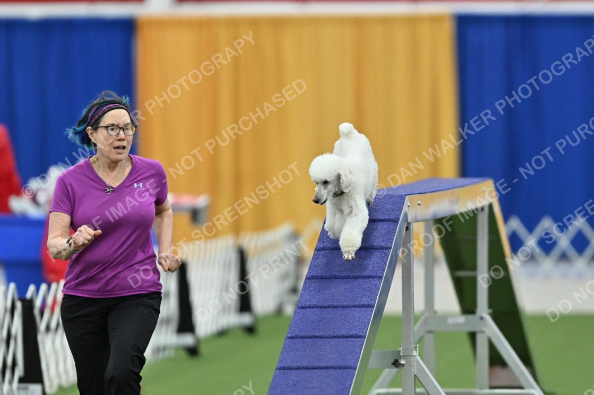 MAS-EX-STD-12-Inch_6046