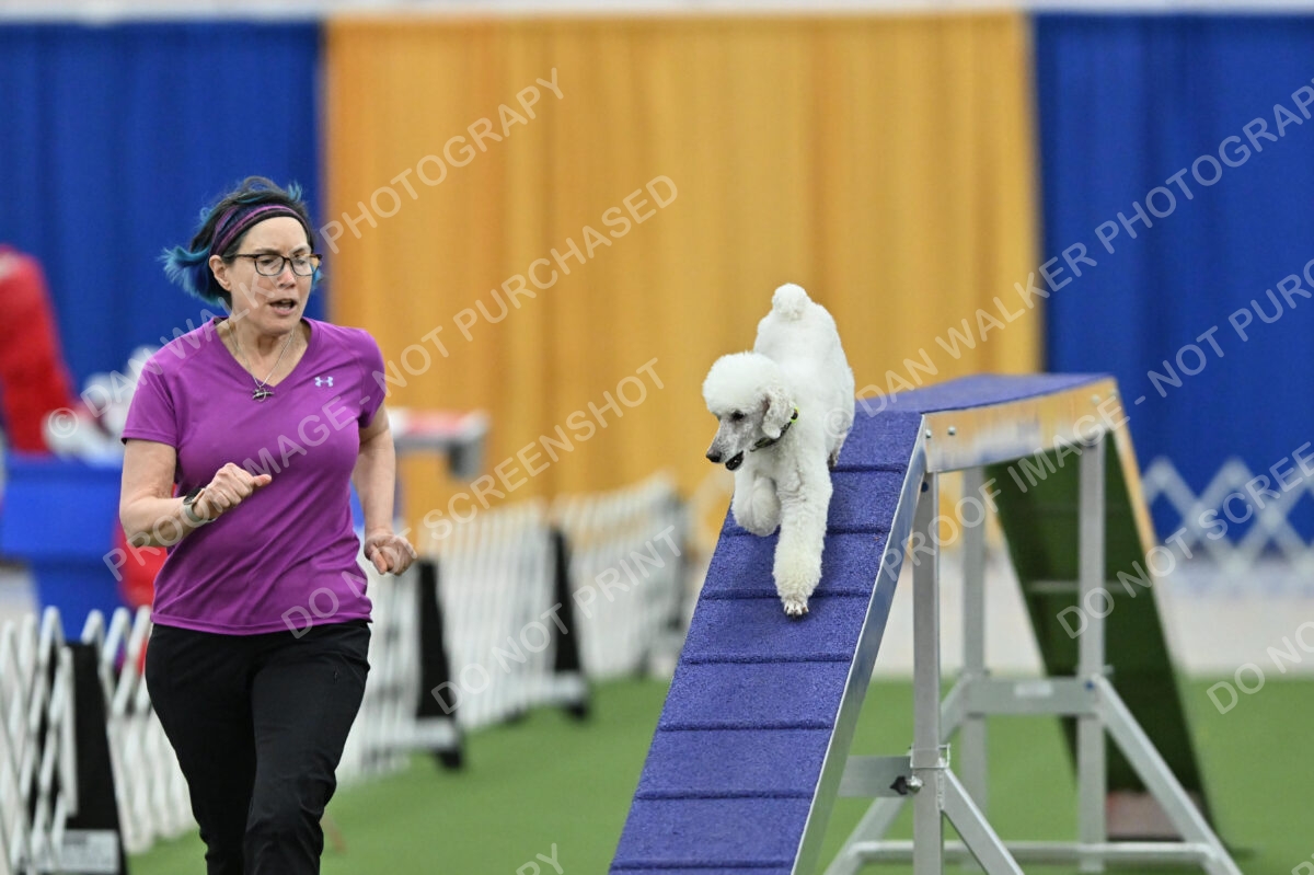 MAS-EX-STD-12-Inch_6047