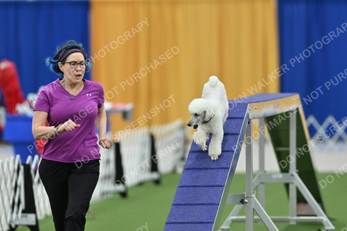 MAS-EX-STD-12-Inch_6048